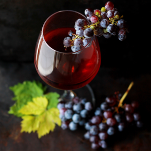 Pinot Noir, Domaine de Valmoissine, Louis Latour, France